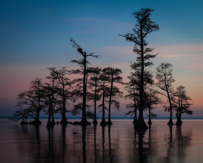 IMG 7163-Edit